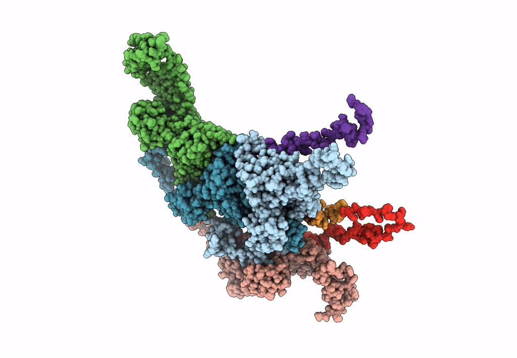 6IAT image
