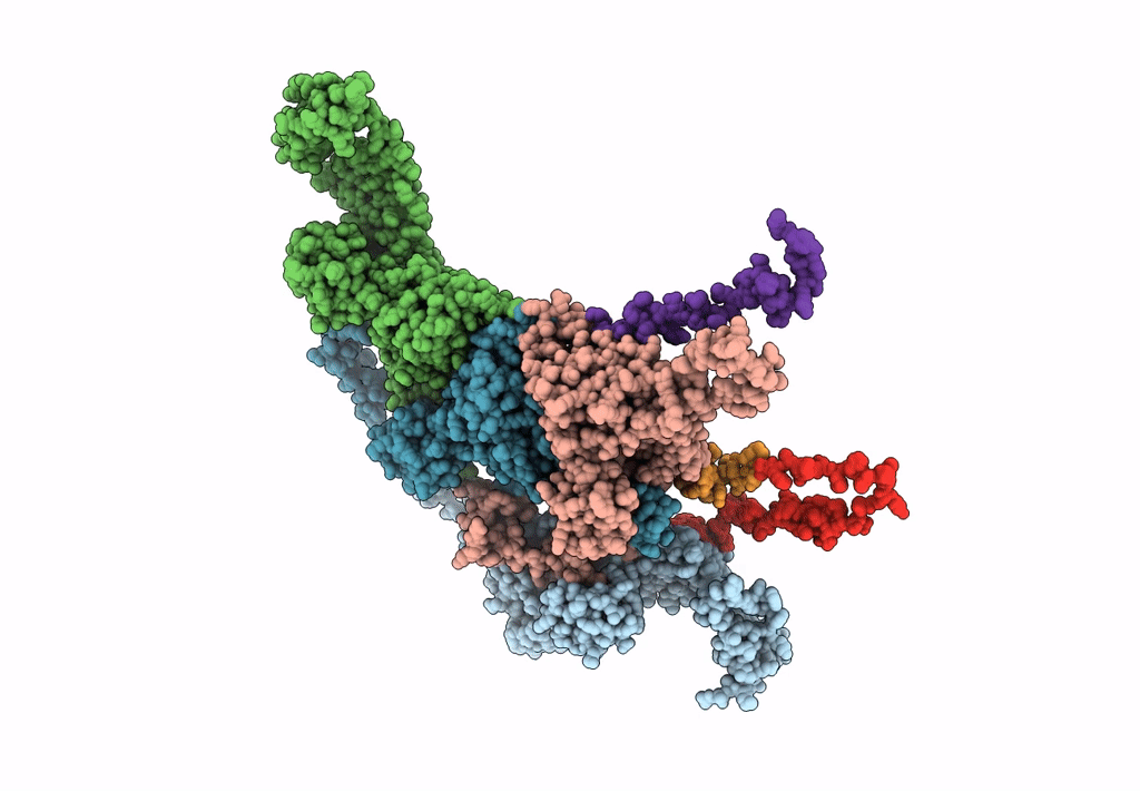 6IB1 image