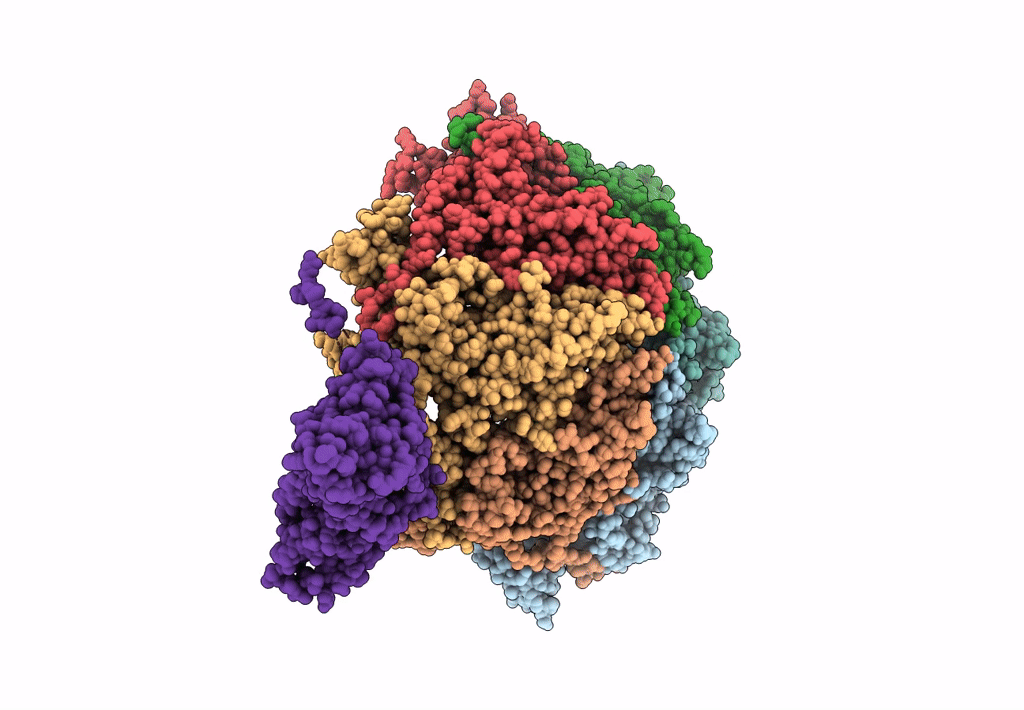 6IBC image