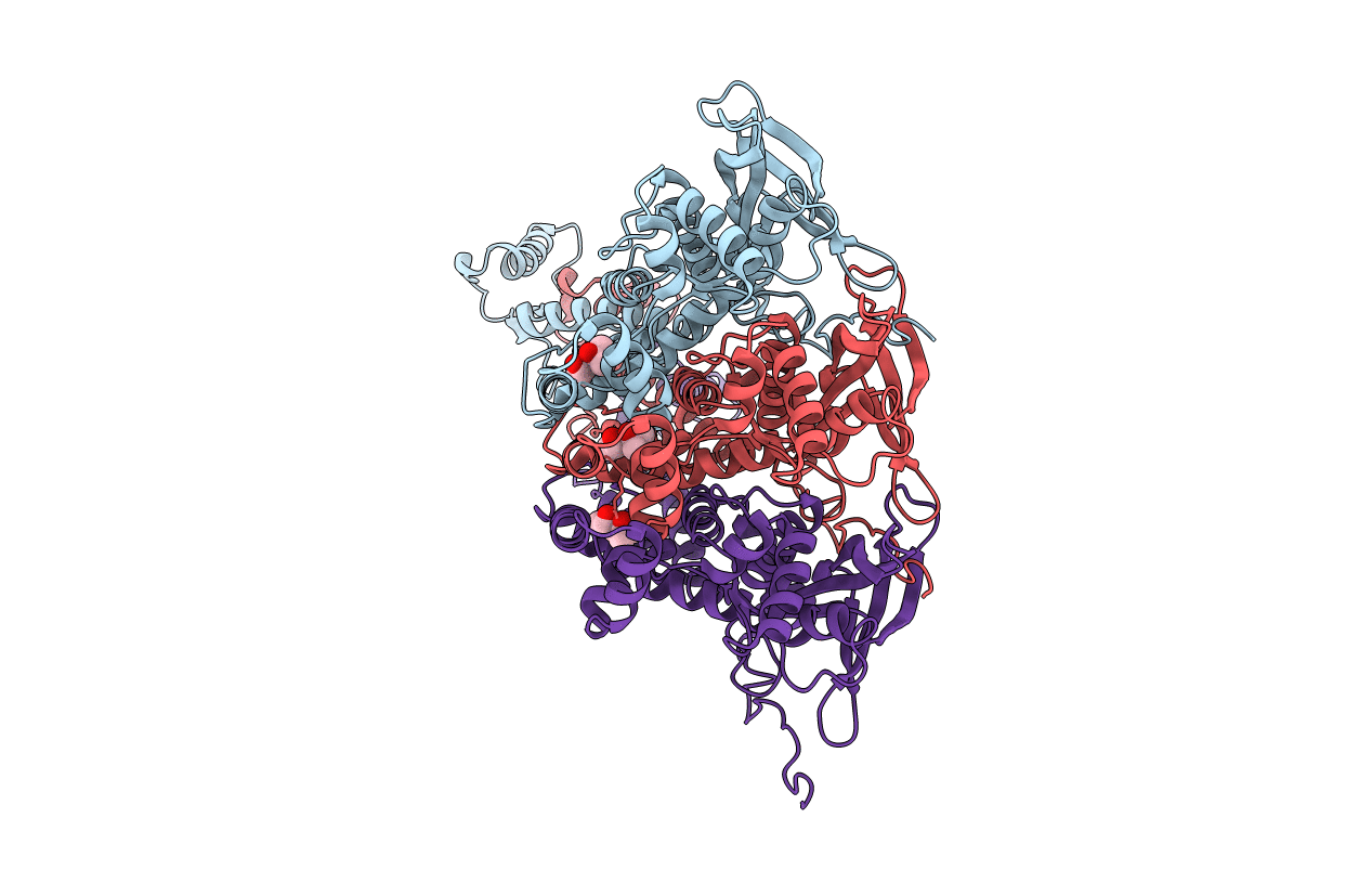 6IBG image