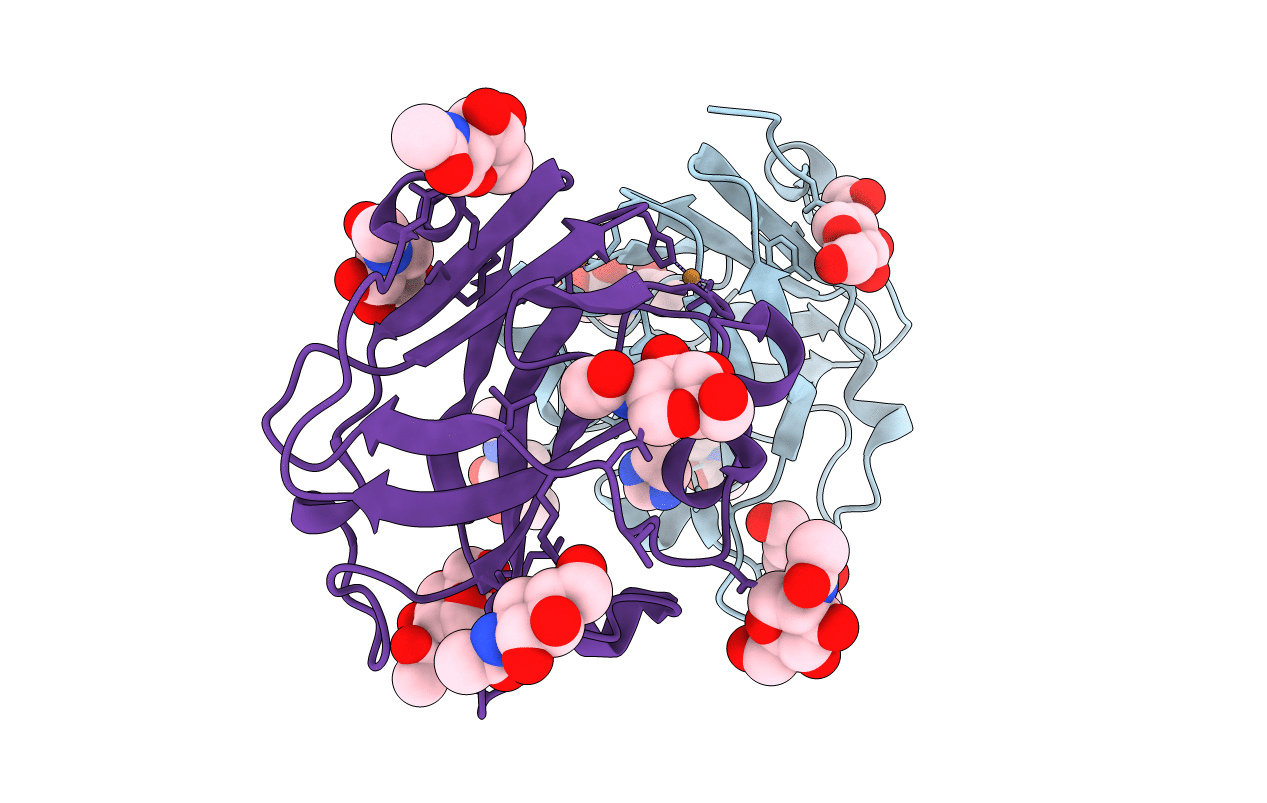 6IBH image
