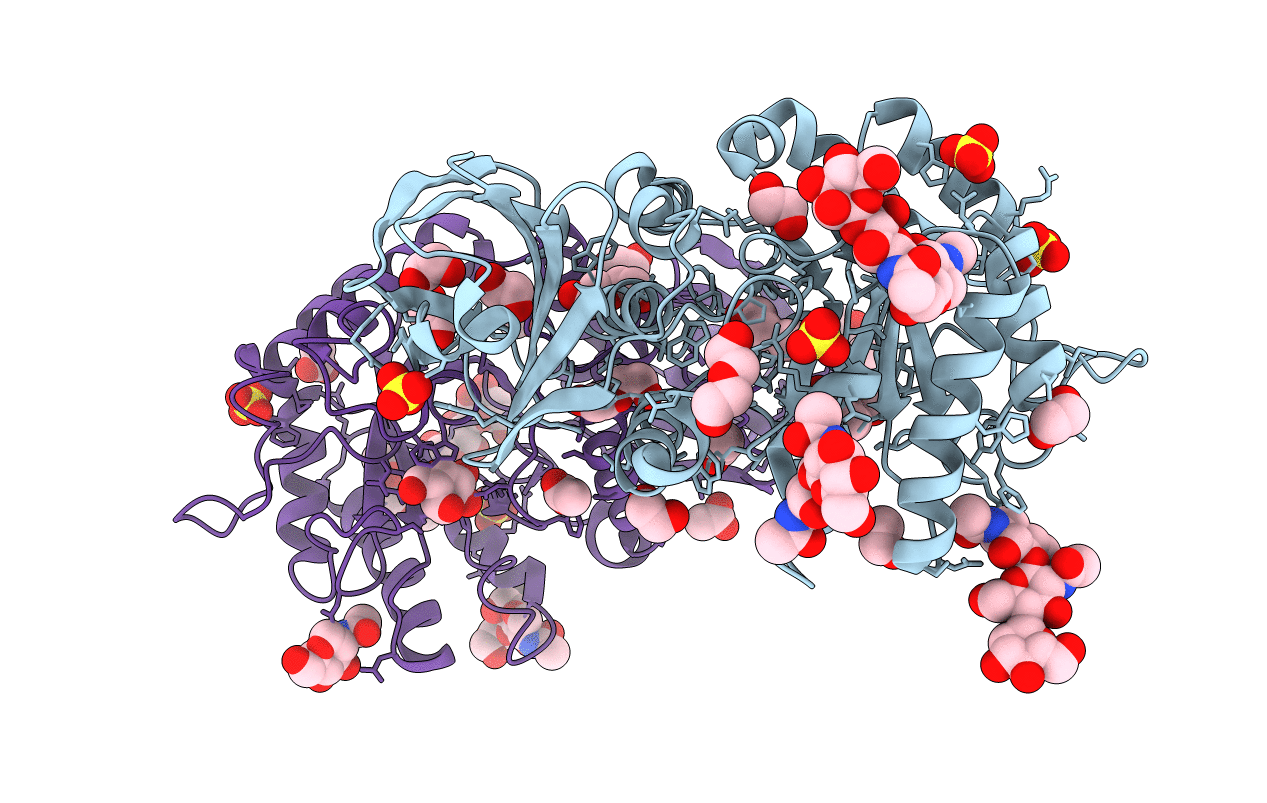 6IBR image