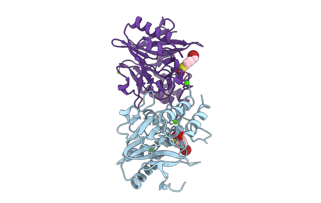 6IBV image