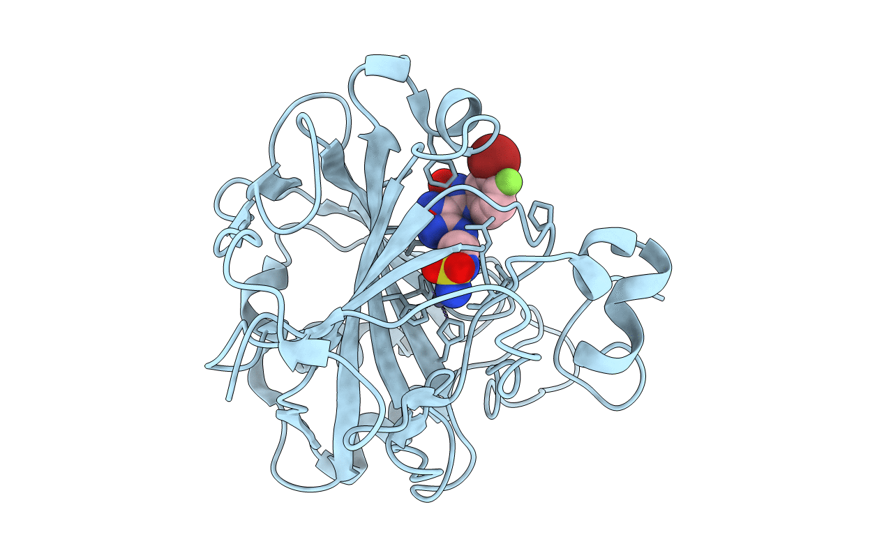 6IC2 image