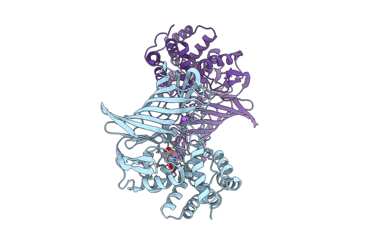 6IFF image