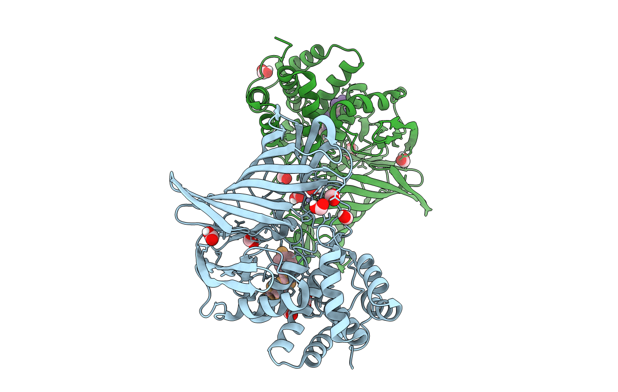6IFG image