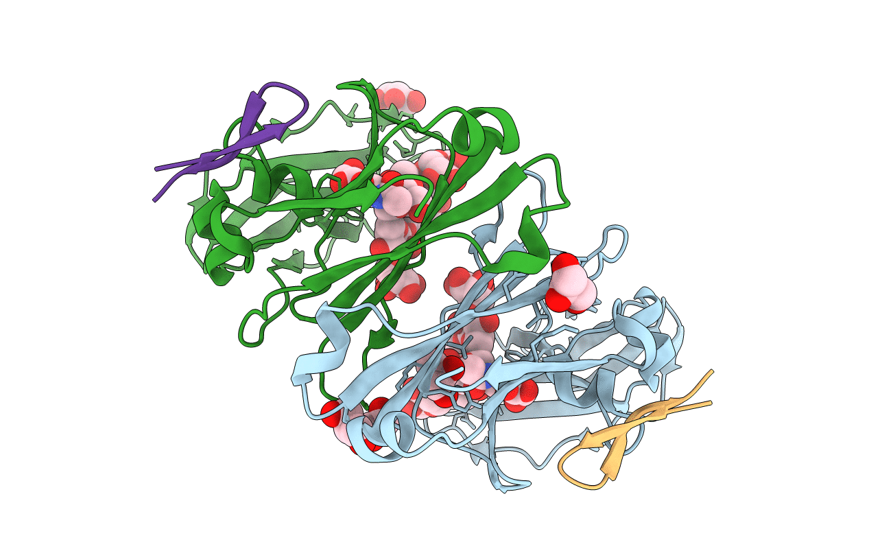 6IFJ image