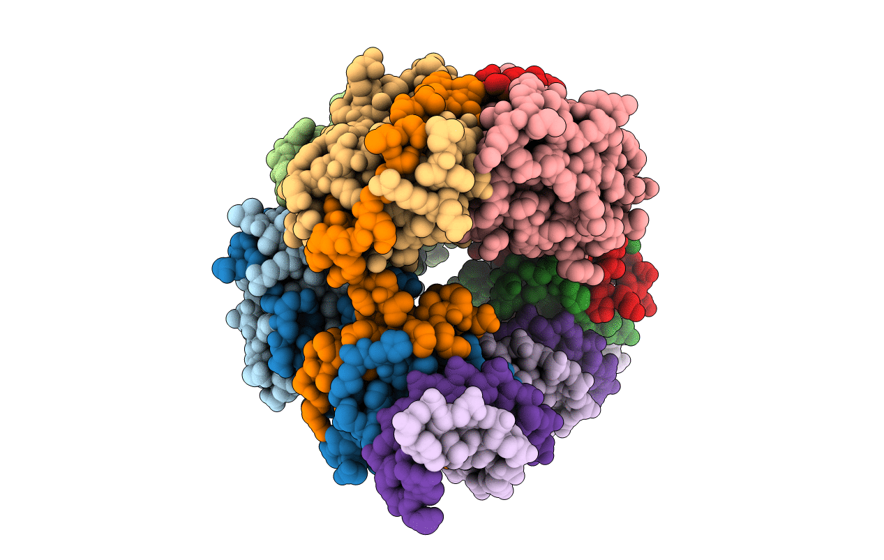 6IFM image