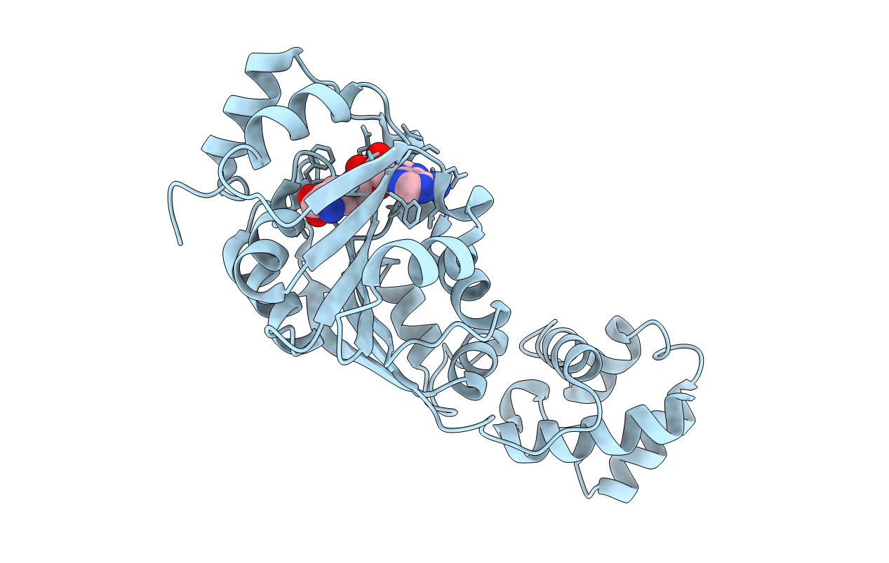 6IFT image
