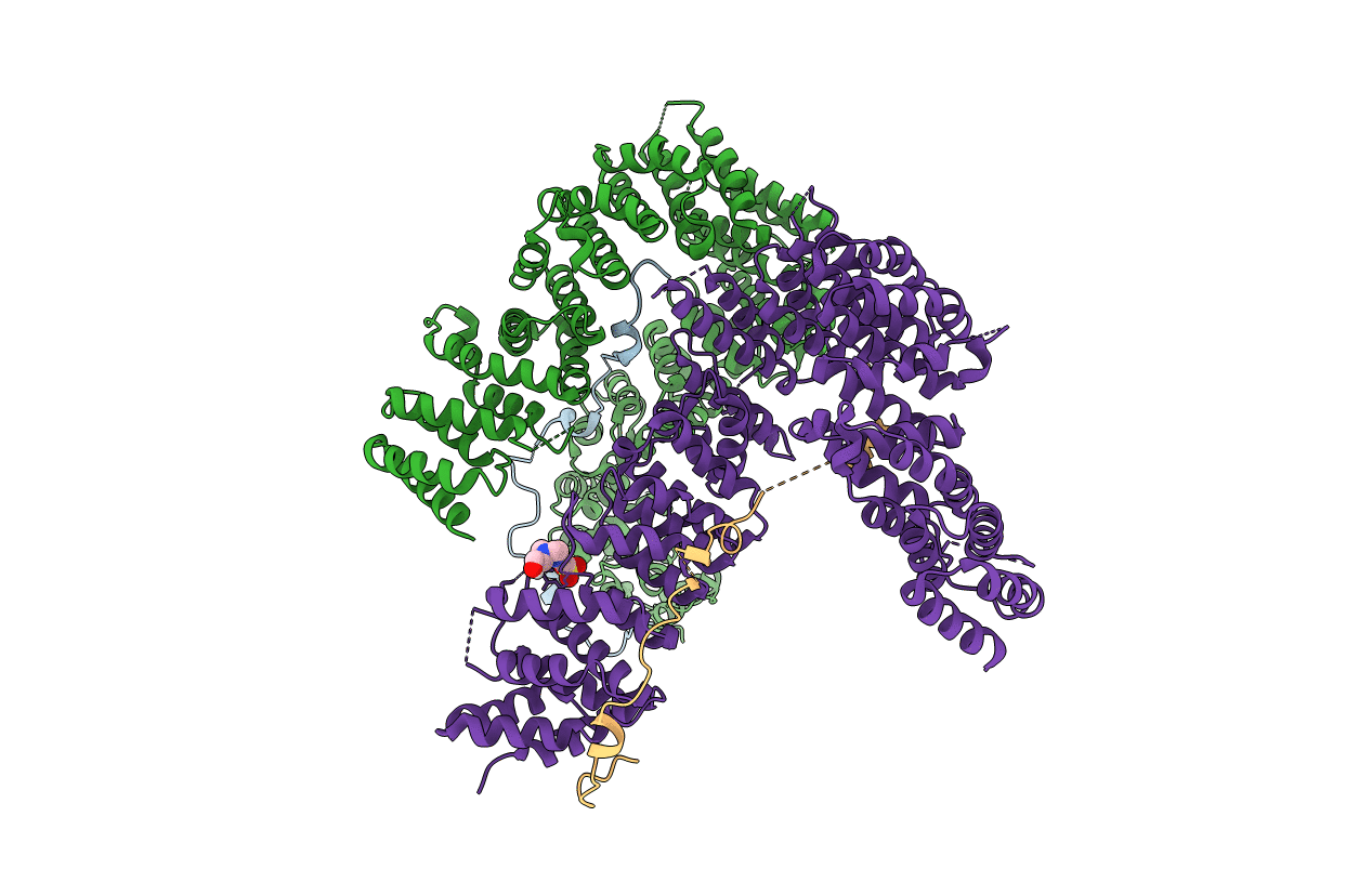 6IGX image