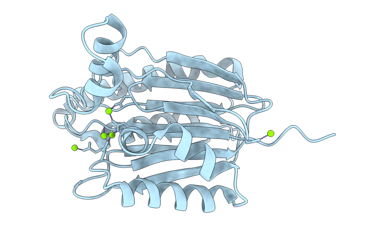 6IHL image