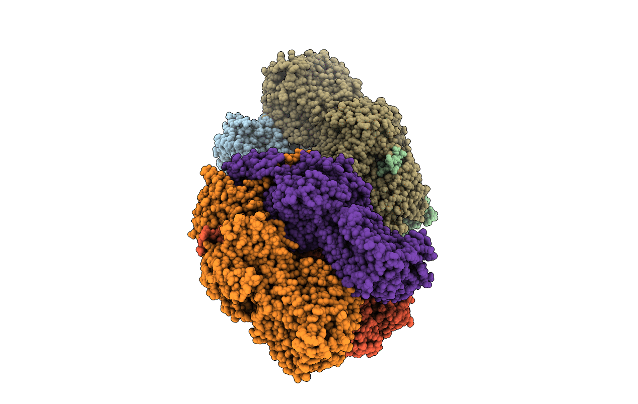 6IIA image