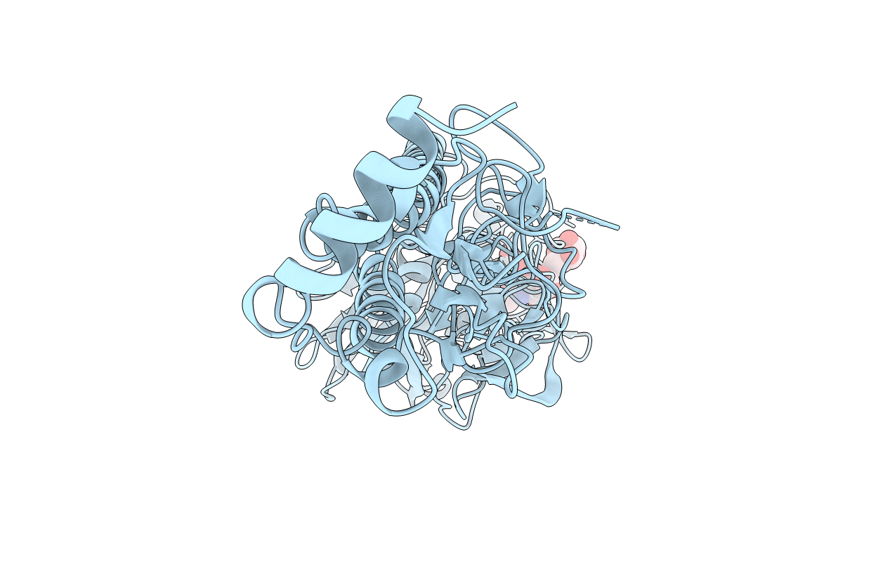 6IIG image
