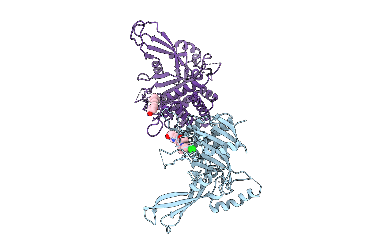 6IIM image