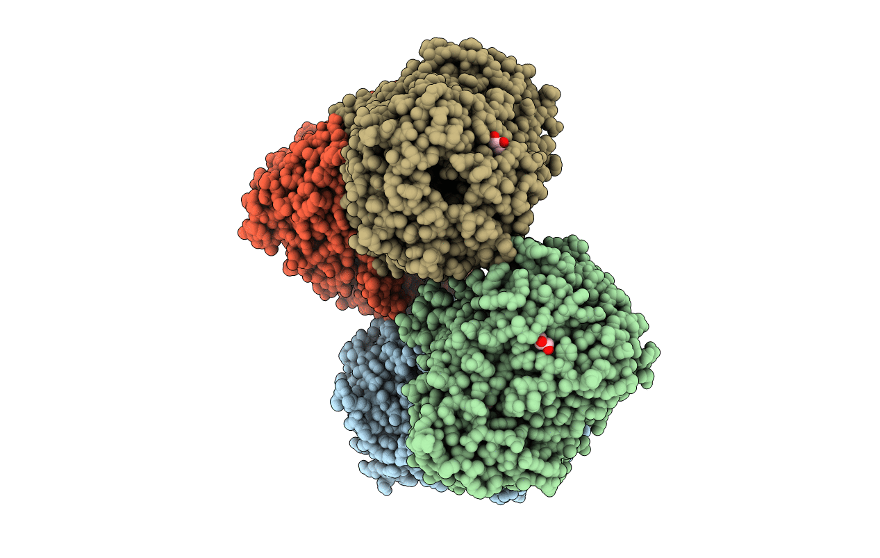 6IKG image