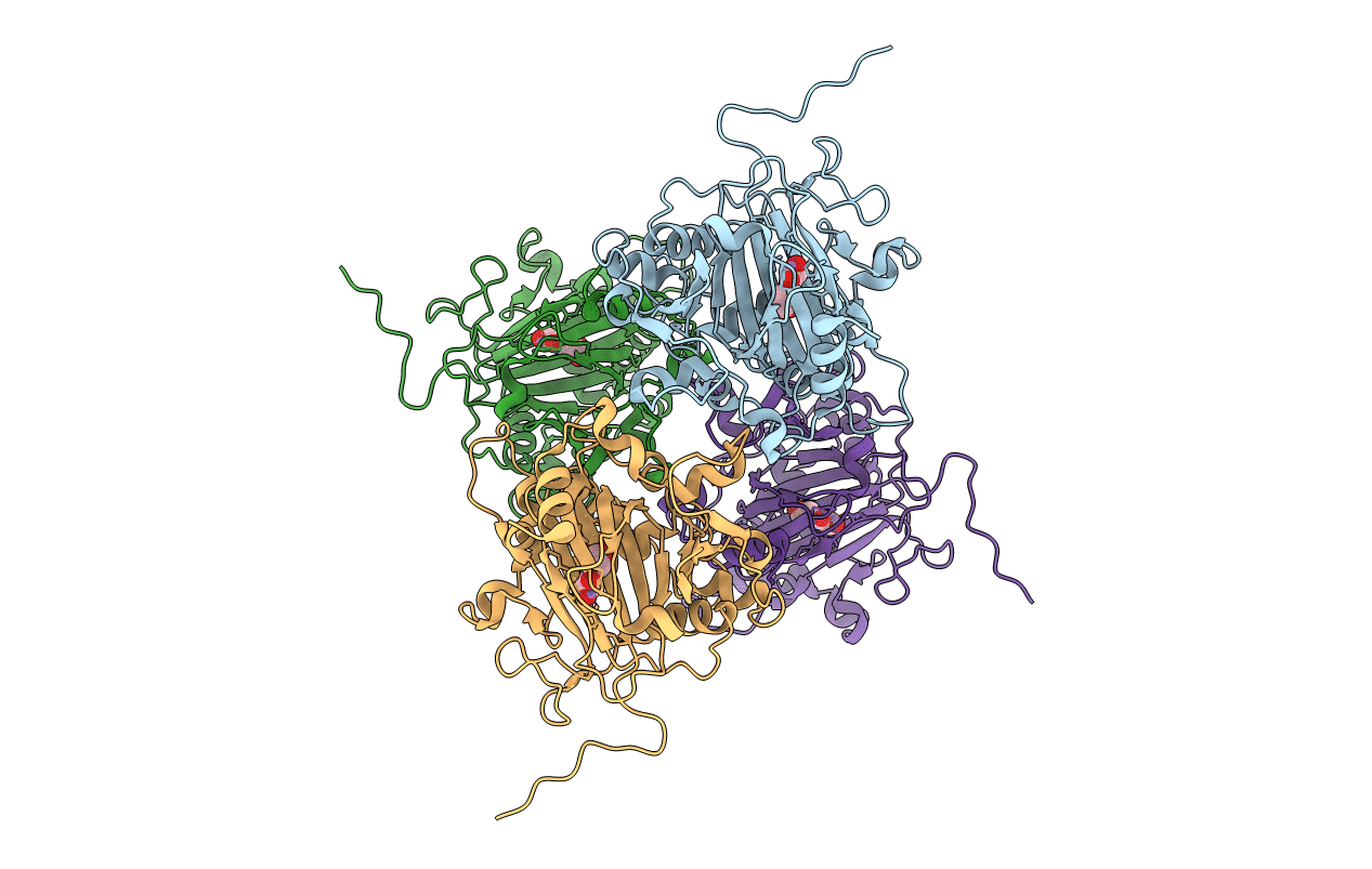 6IMC image