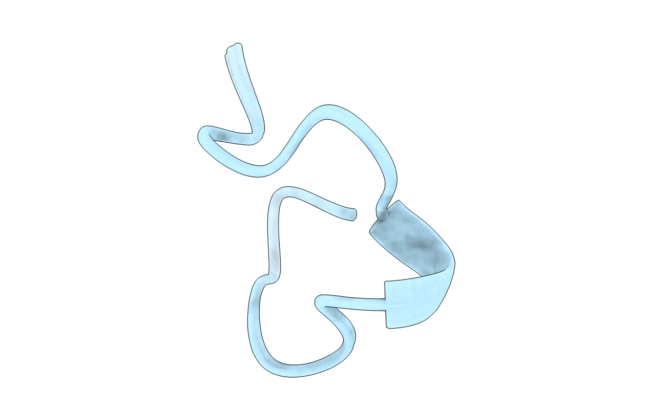6IMG image
