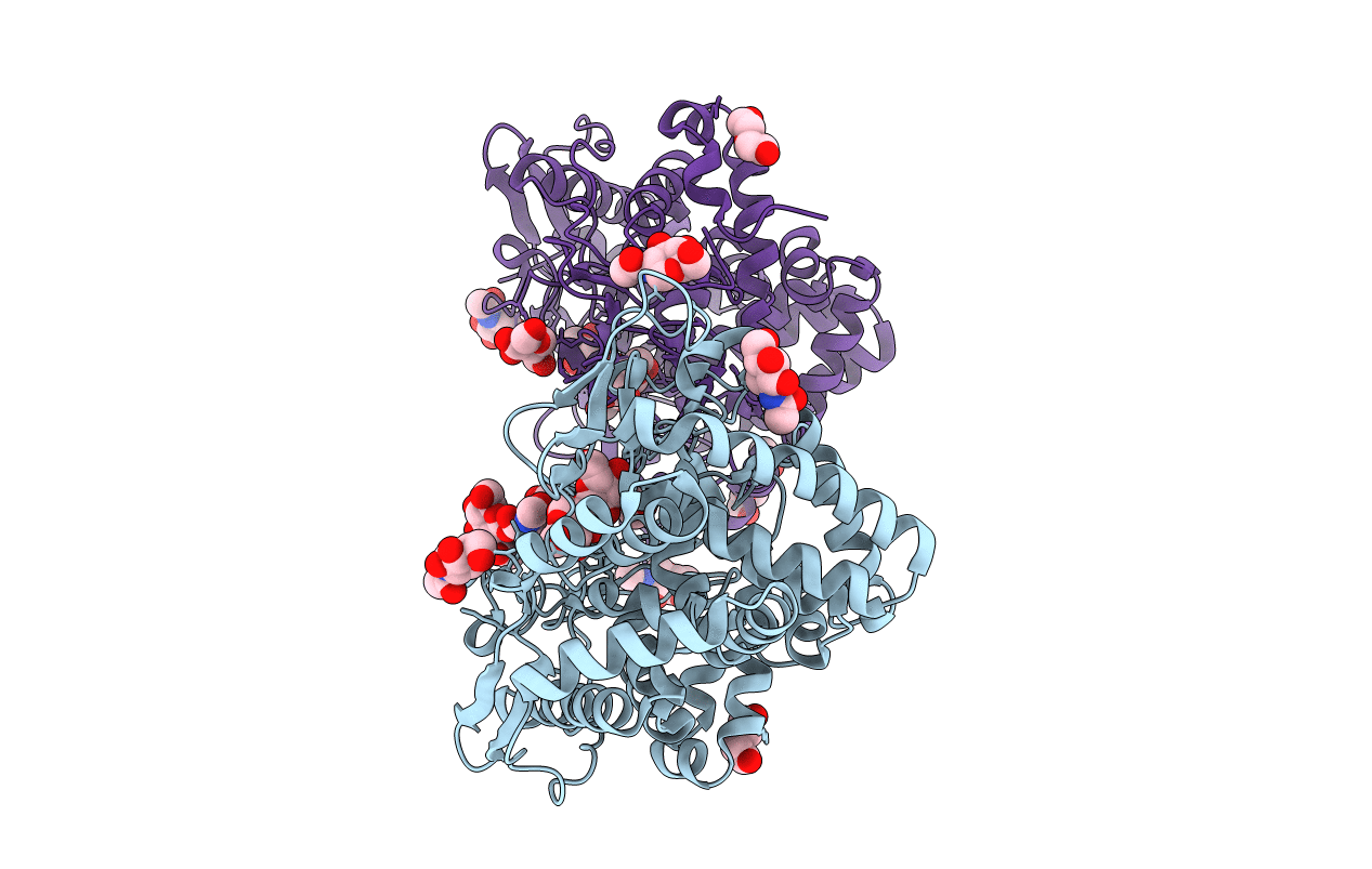 6IMV image