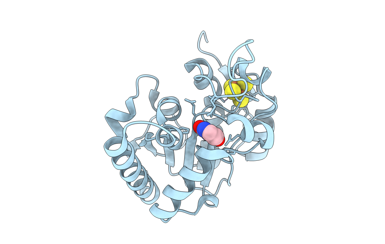 6IOC image