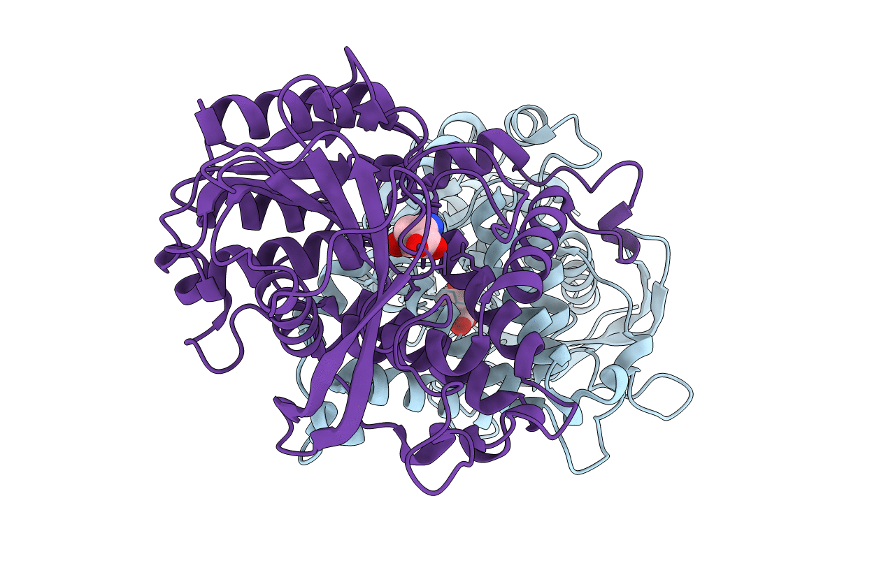 6IOH image