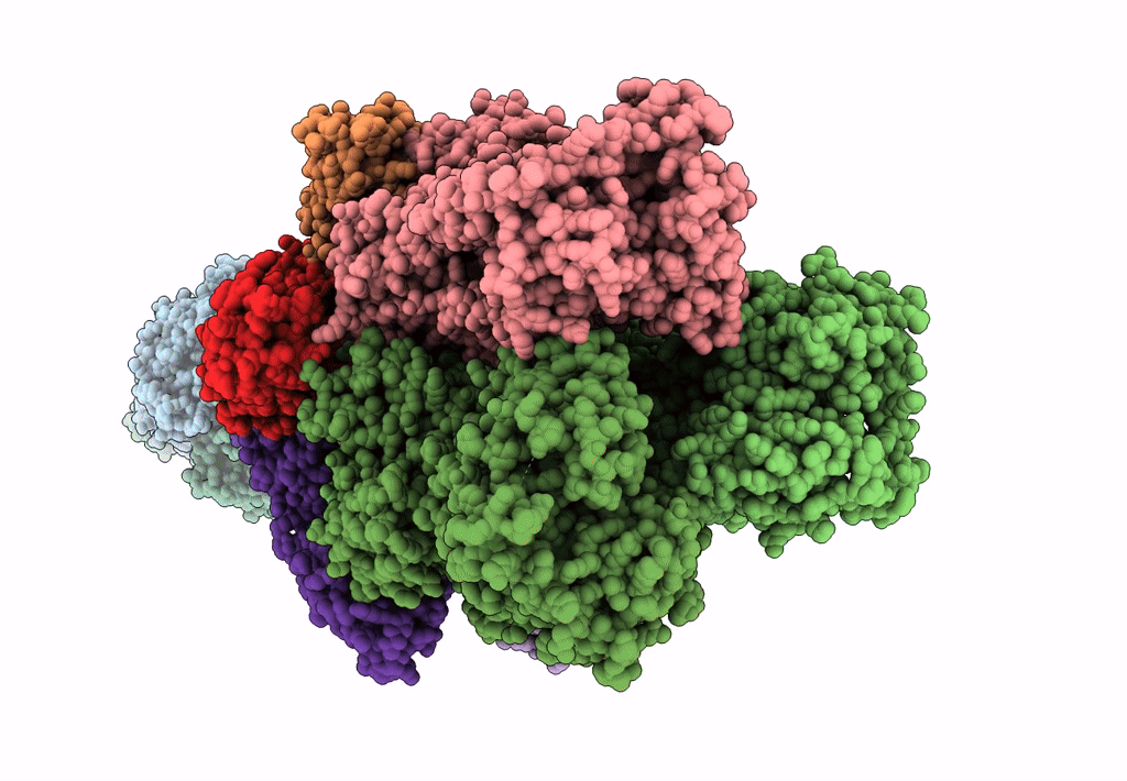 6IOL image