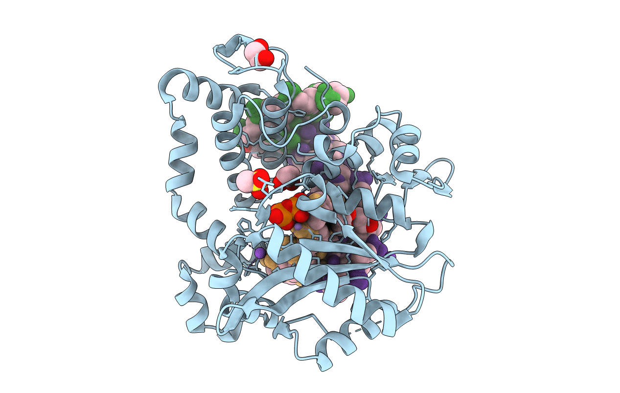 6IPF image