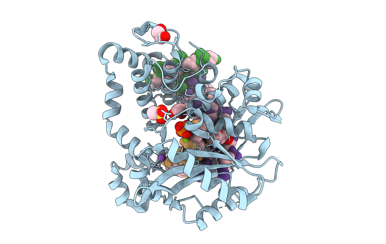 6IPG image