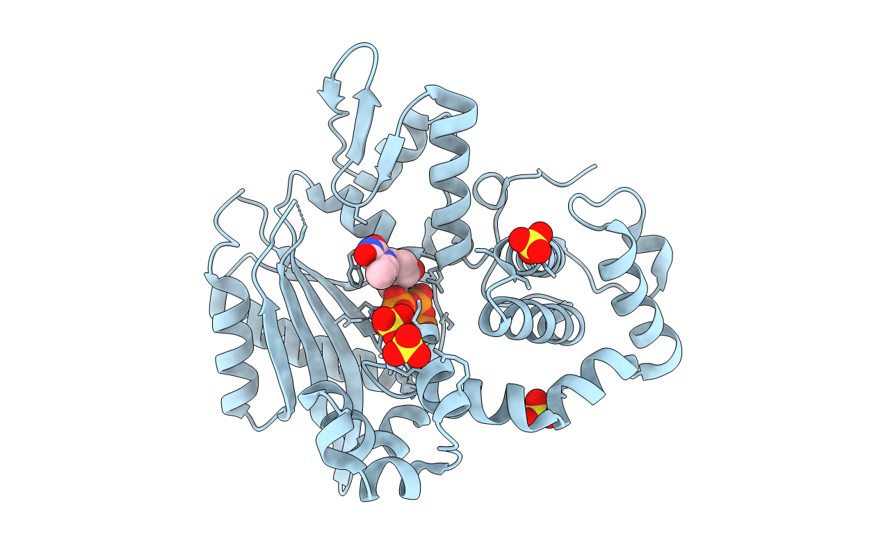 6IPJ image