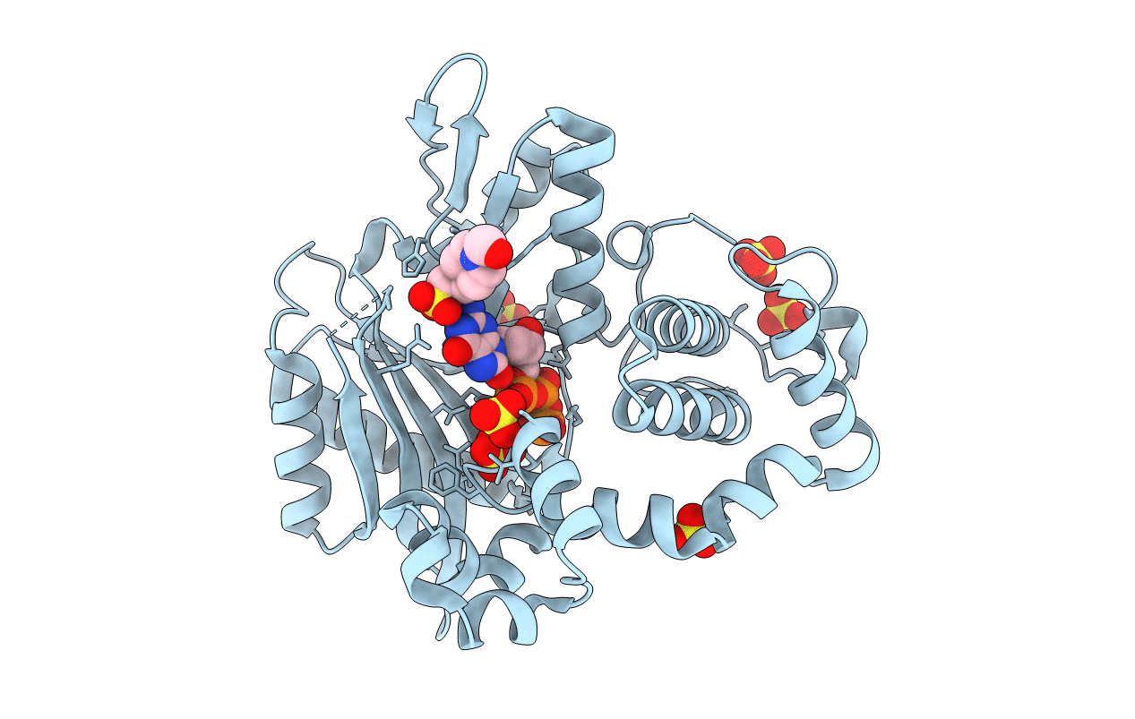 6IPK image