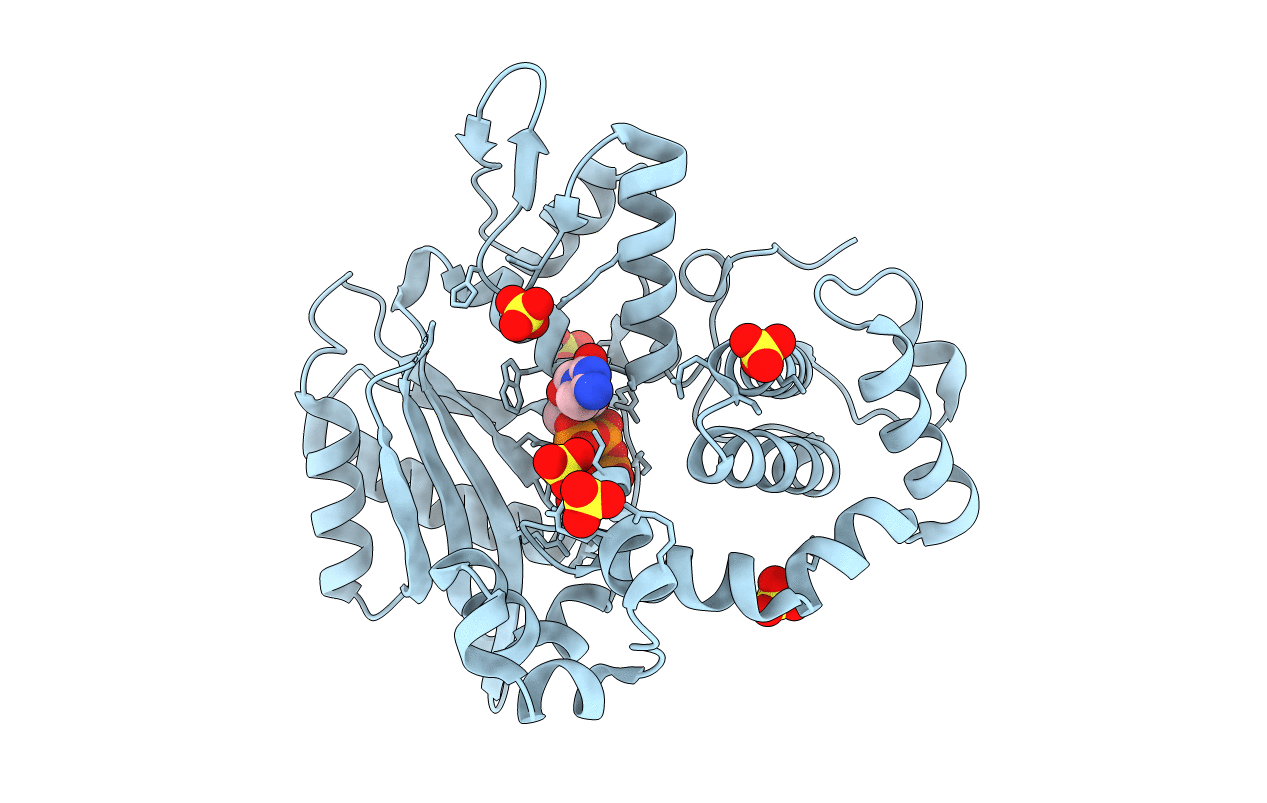6IPM image