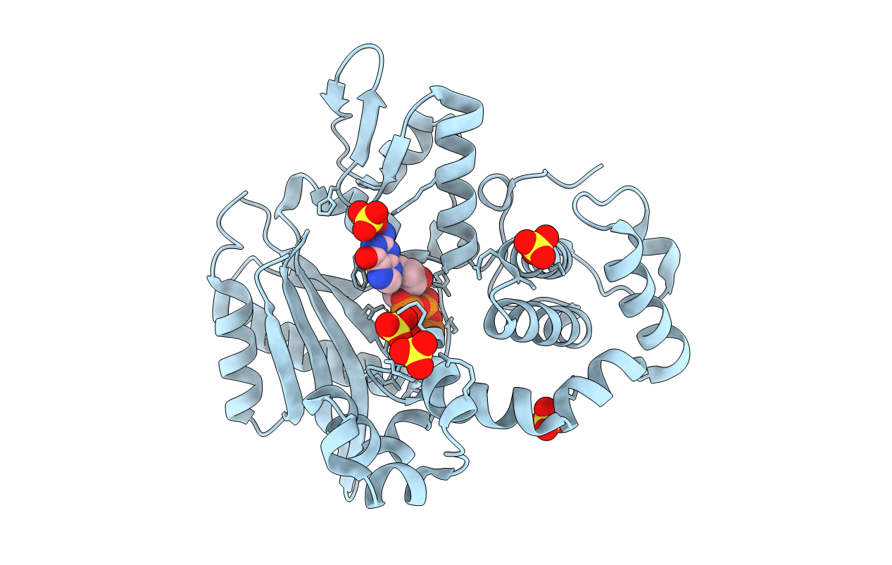 6IPN image