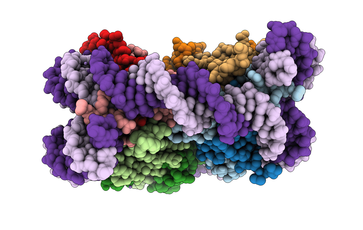 6IPU image