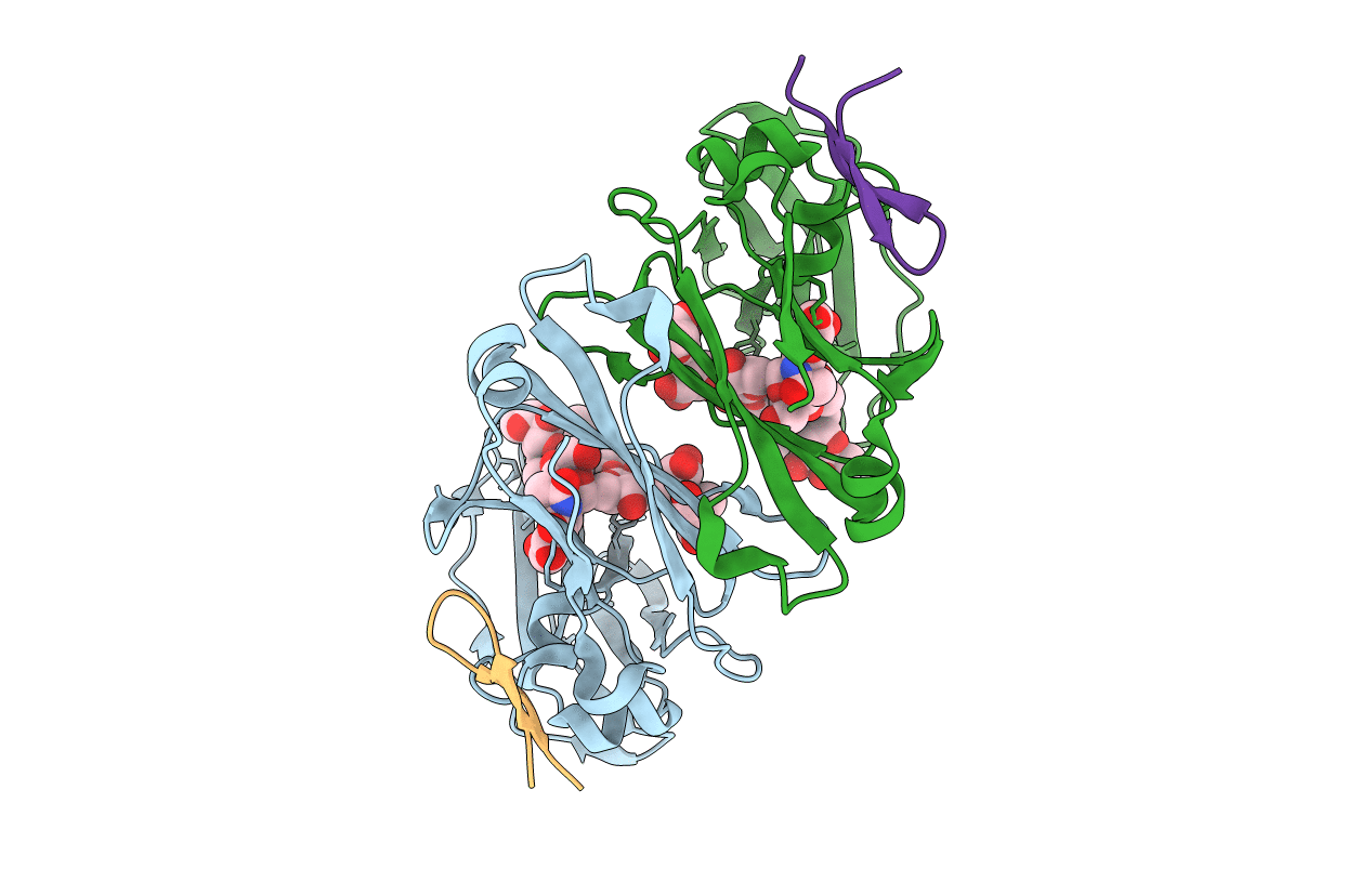 6IQG image