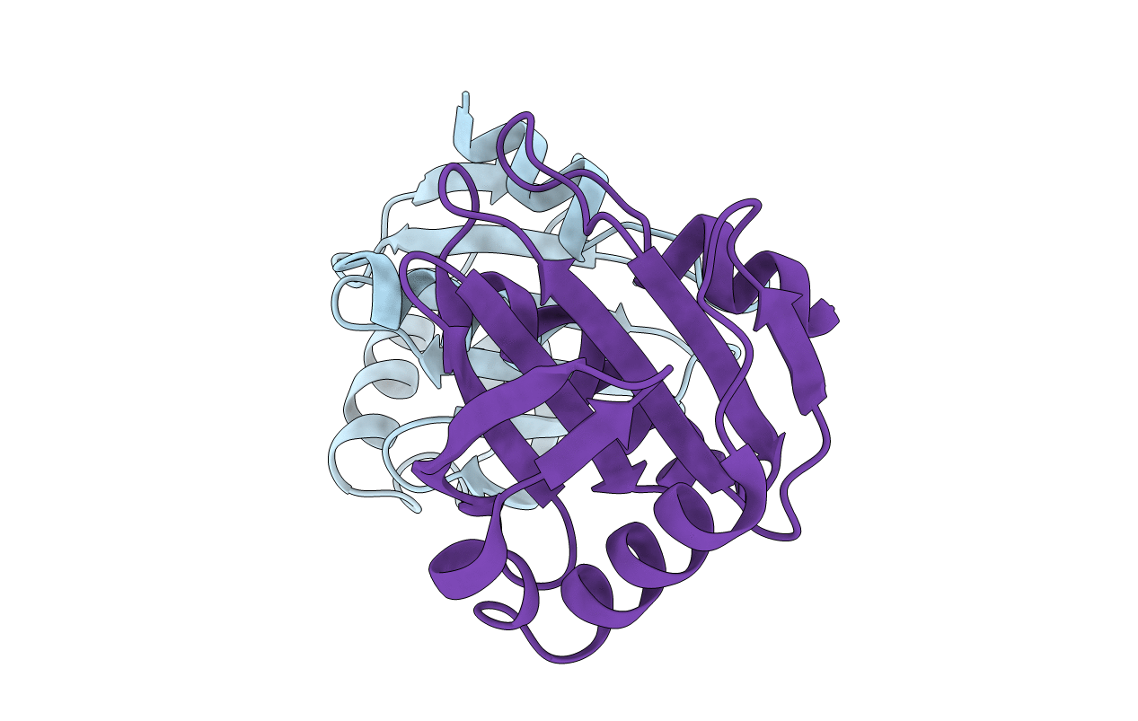 6IQI image