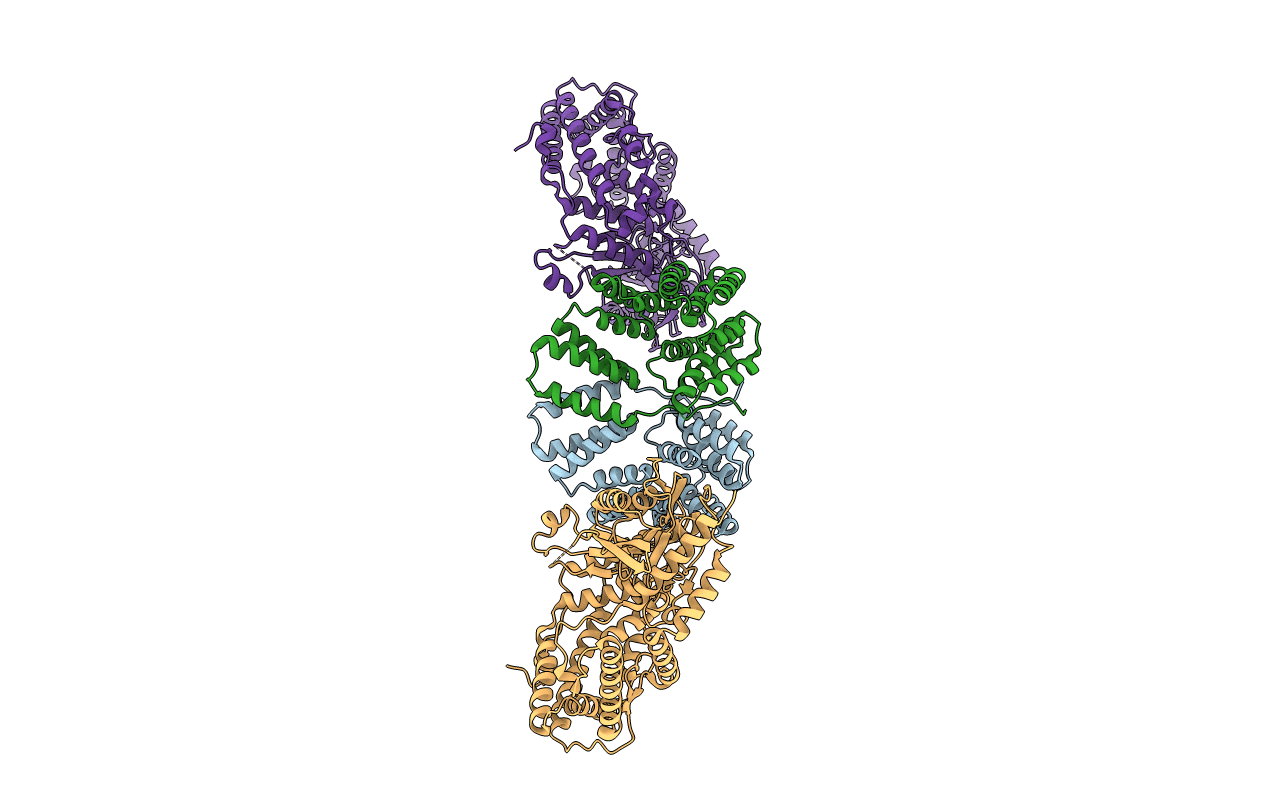 6IQS image