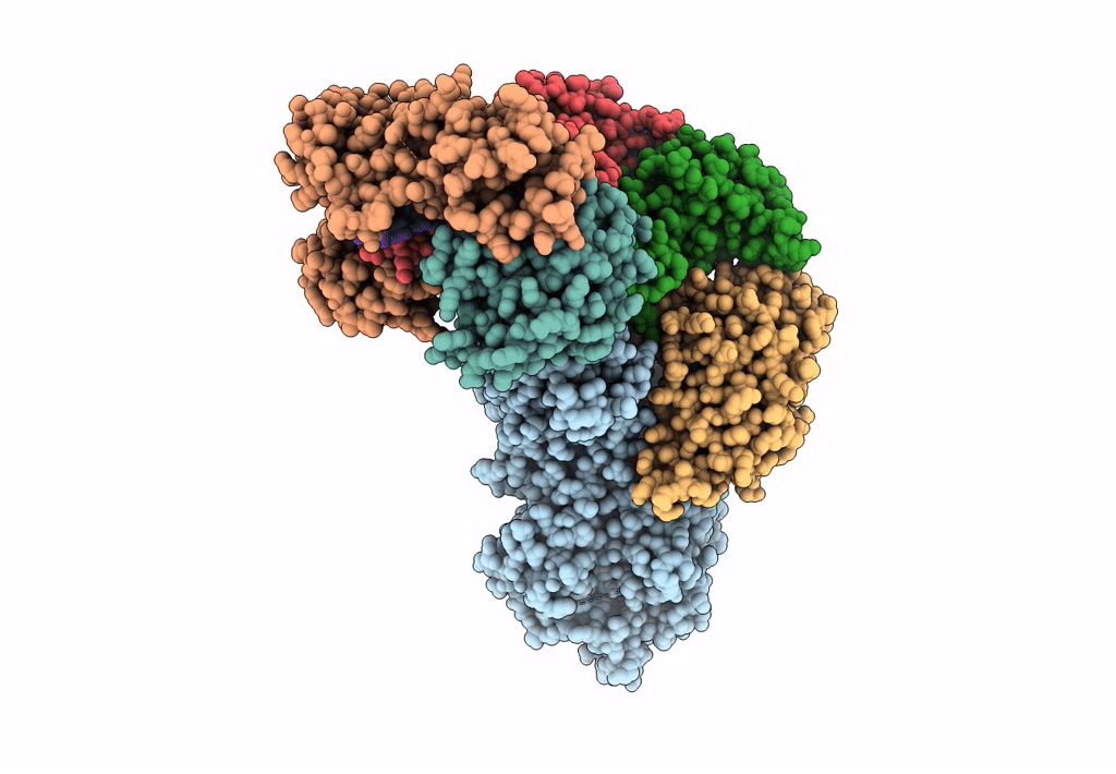 6IQW image