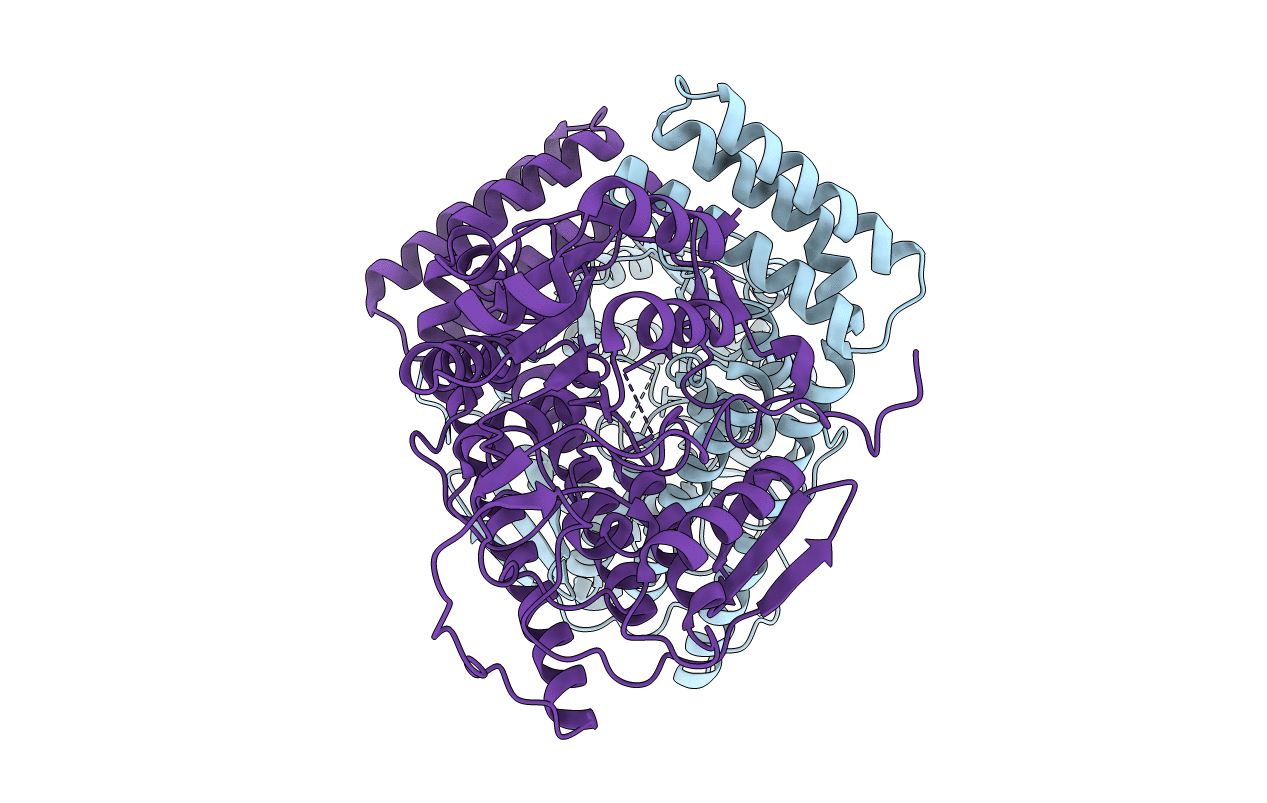 6IRV image