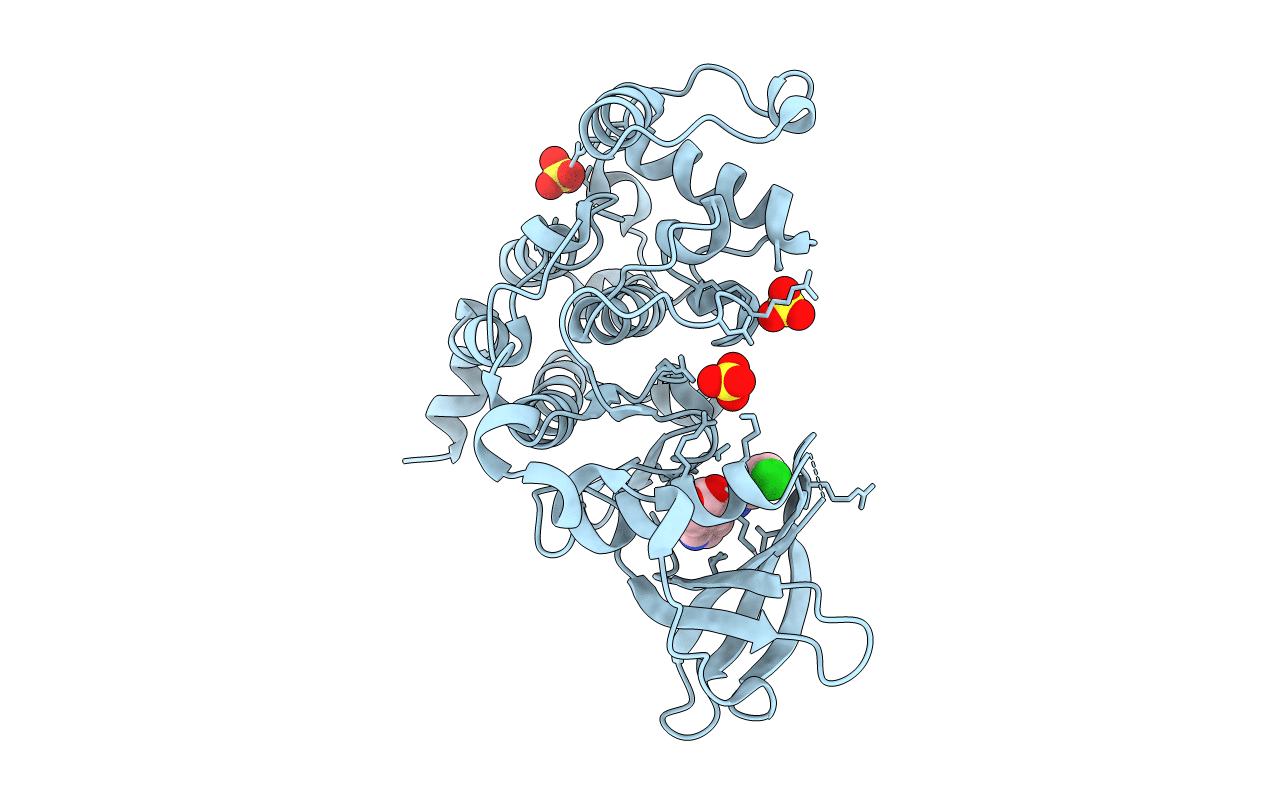 6ISJ image