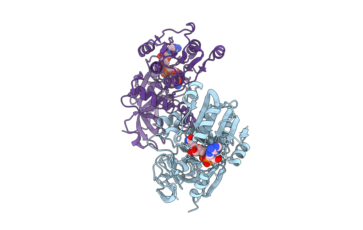 6ISV image