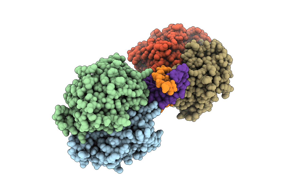 6IUC image