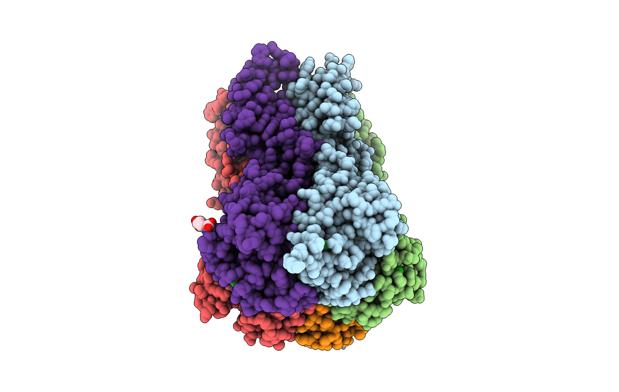 6IVN image