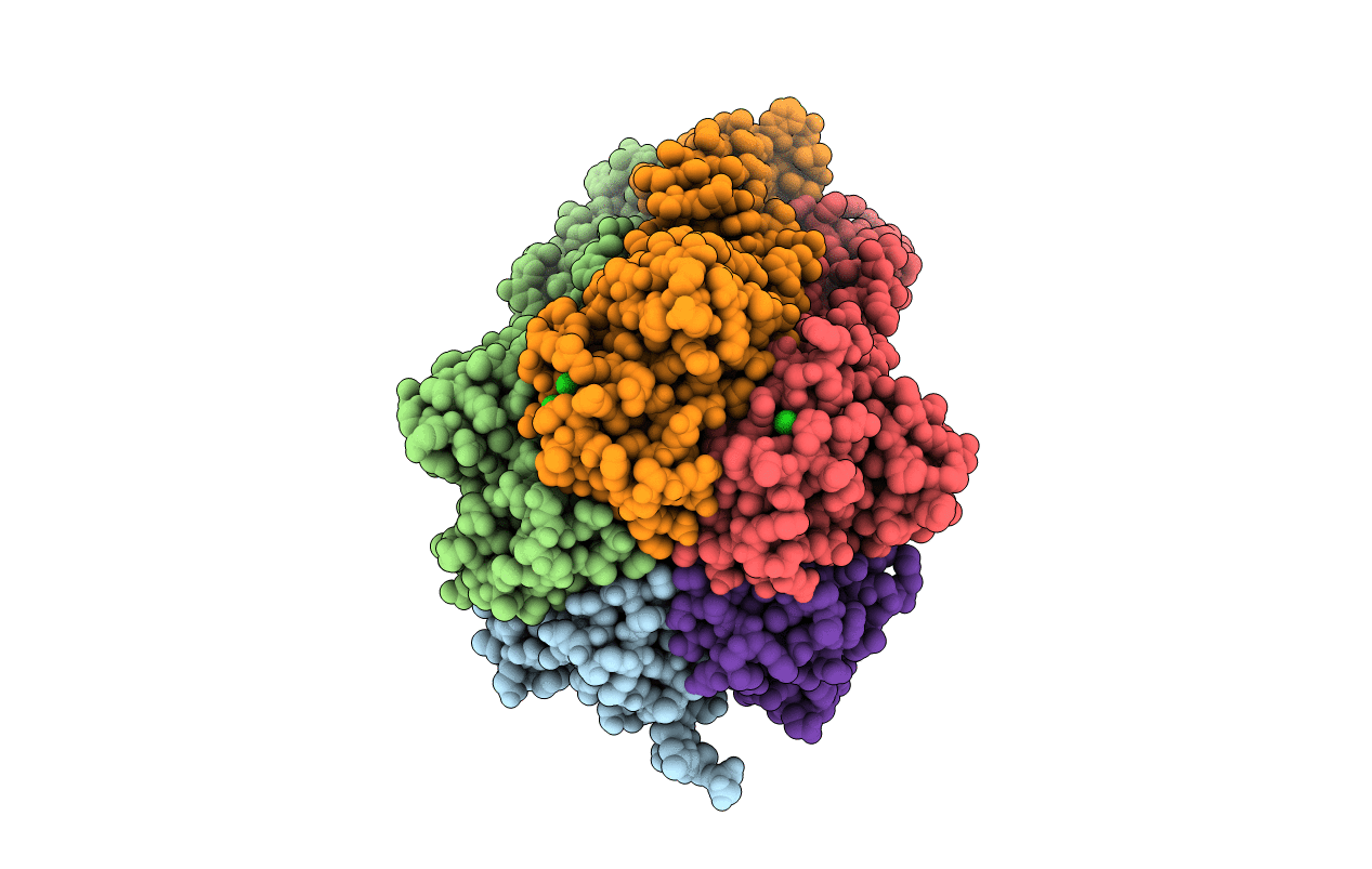 6IVP image