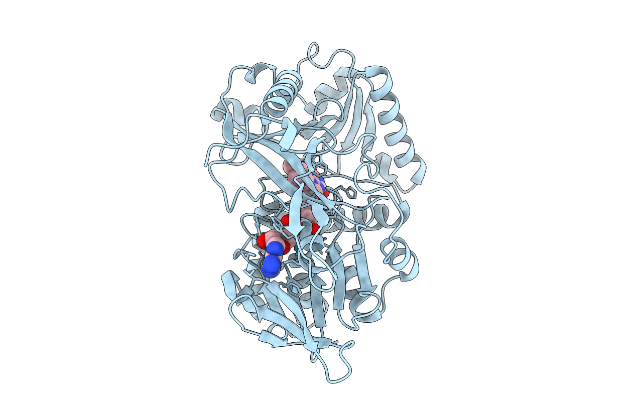 6IWE image