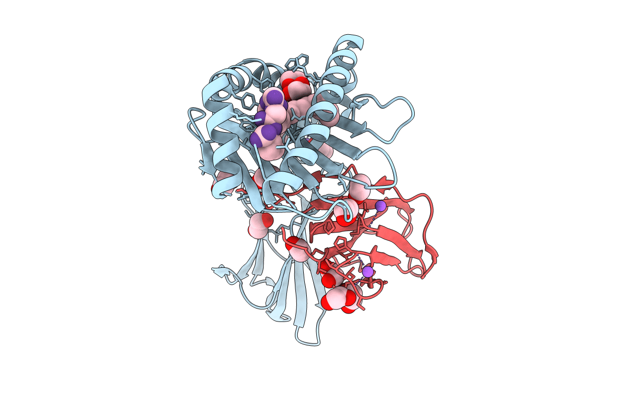 6IWH image