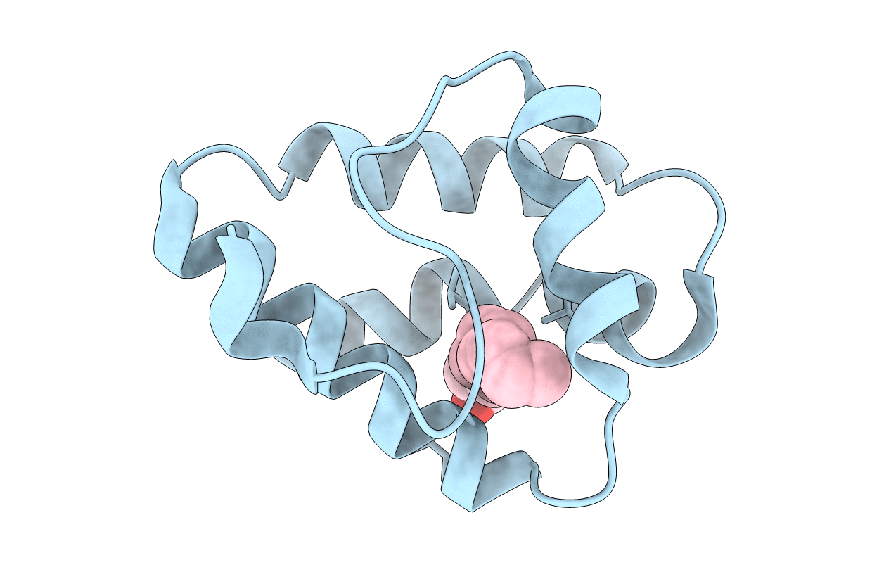 6IWP image