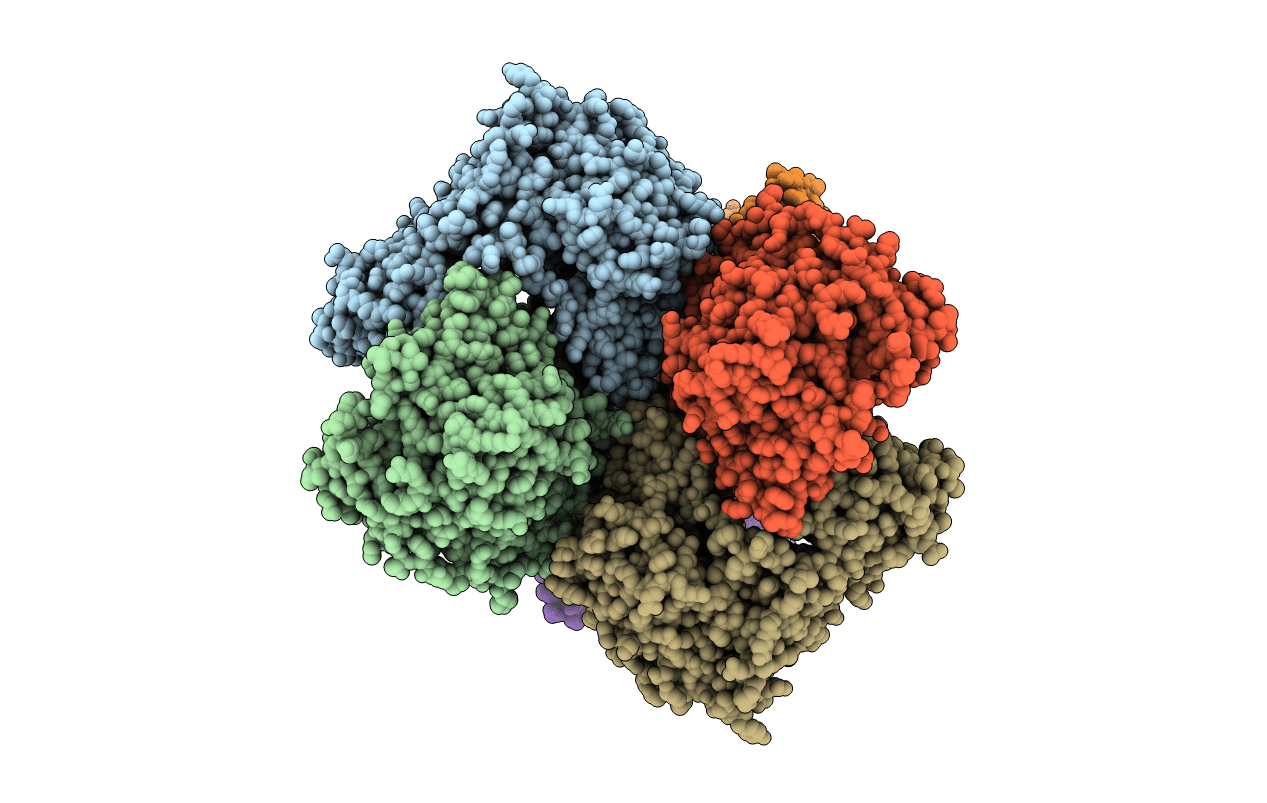 6IWR image