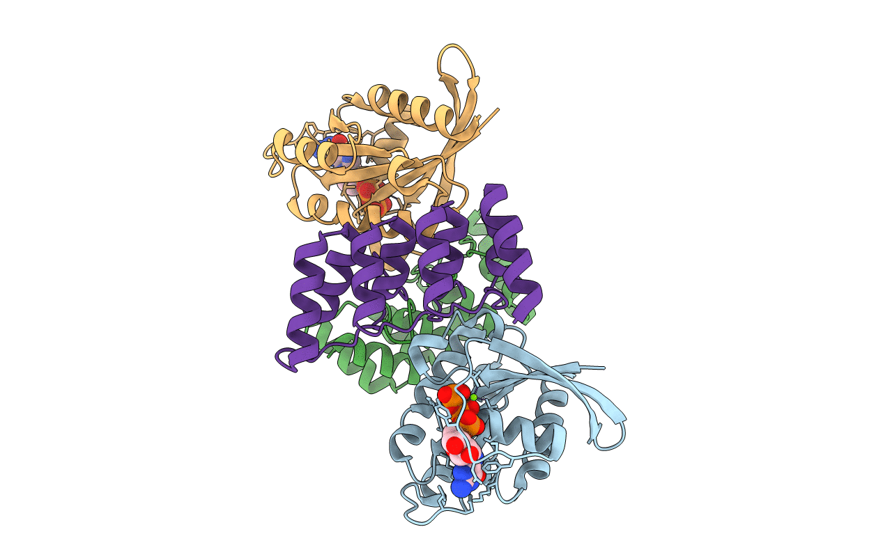 6IYB image
