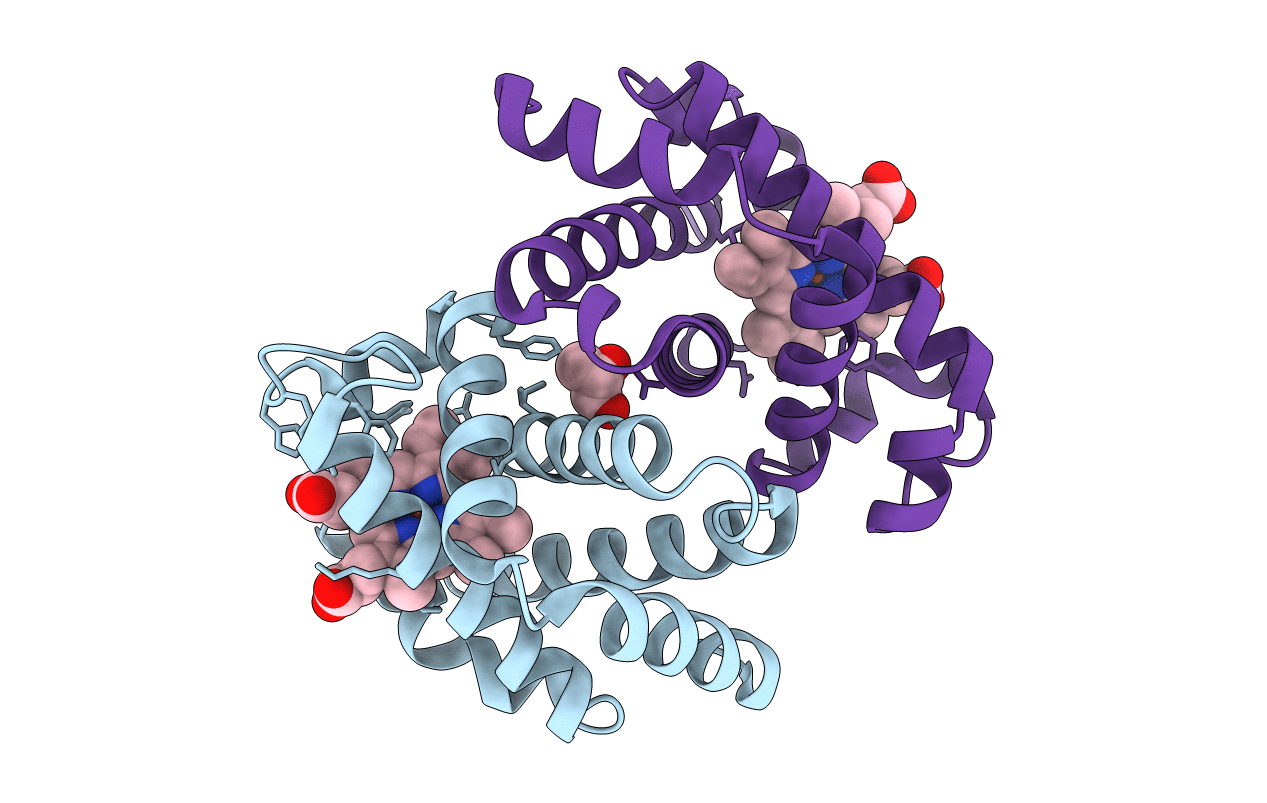 6IYH image
