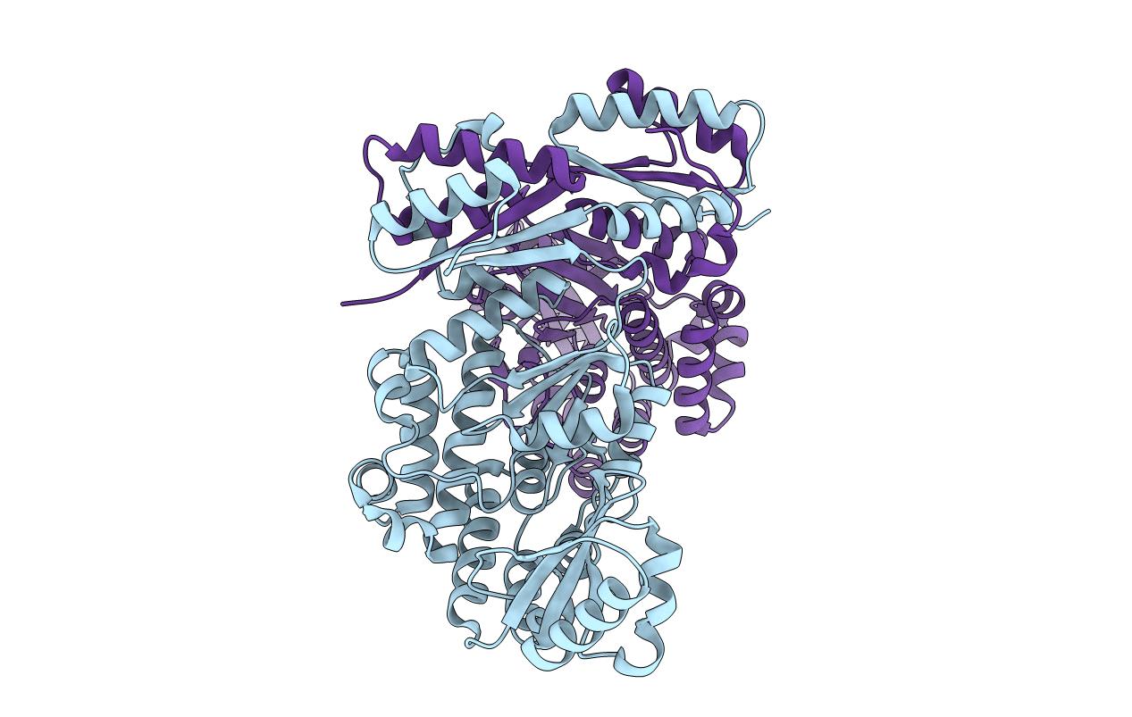 6IYO image