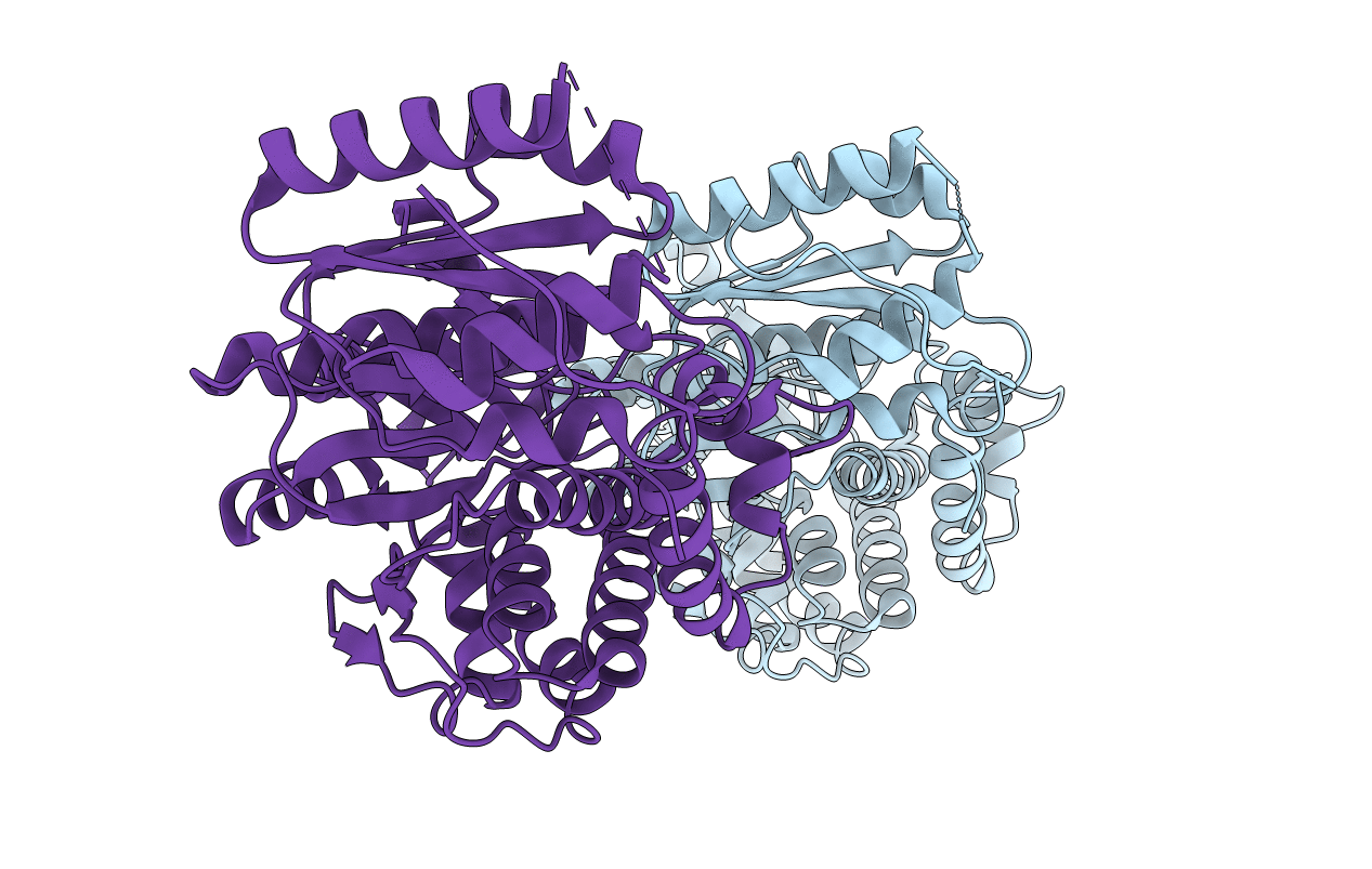 6IYT image